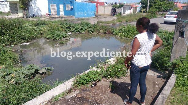 Blog Expediente MX | abandono-e-insalubridad-en-colinas-de-santa-fe |  Portal de Noticias de Veracruz | Periodico de Veracruz